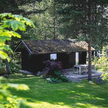 North - Oesund